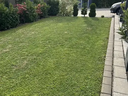 Gepflegter Vorgarten mit frisch gemähter Rasenfläche
