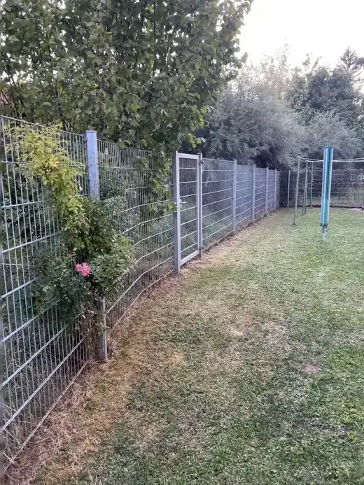 Gepflegter Zaunbereich mit Rosen und Grünschnitt